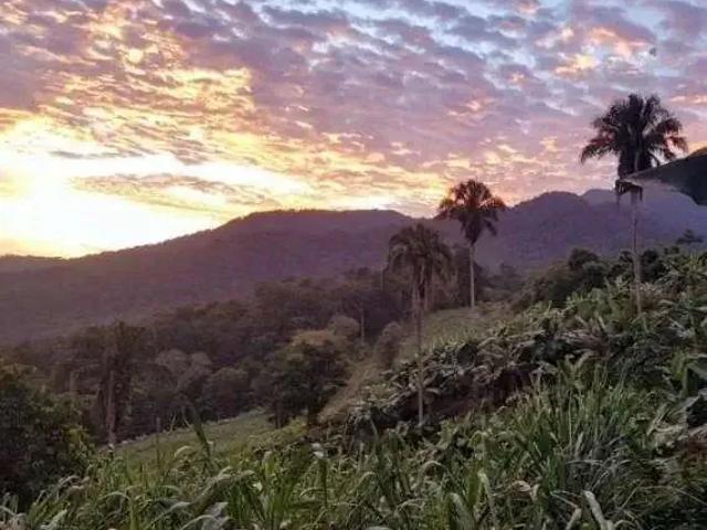 Fazenda venda em Região Geográfica Imediata de Paranaguá, Morretes