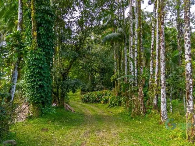 Fazenda venda em Região Geográfica Imediata de Paranaguá, Morretes