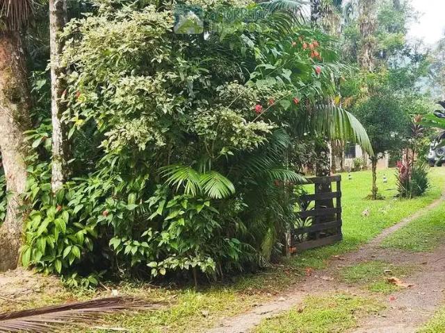 Fazenda venda em Região Geográfica Imediata de Paranaguá, Morretes
