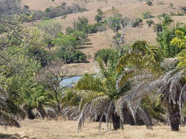 Sítio e chácara venda em Região Geográfica Imediata de Caldas Novas-Morrinhos, Morrinhos
