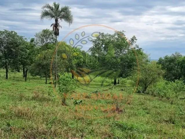 Fazenda venda em Região Geográfica Imediata de Caldas Novas-Morrinhos, Morrinhos