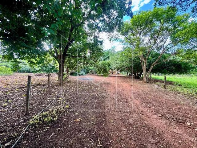 Fazenda venda em Região Geográfica Imediata de Caldas Novas-Morrinhos, Morrinhos