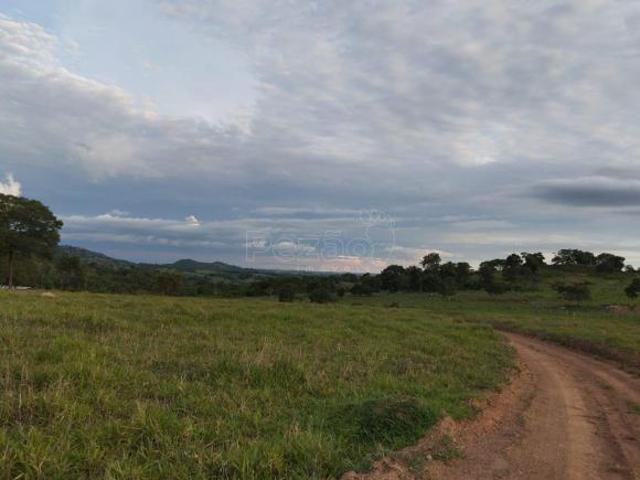 Sítio e chácara venda em Região Geográfica Imediata de Ceres - Rialma - Goianésia, Morro Agudo de Goiás