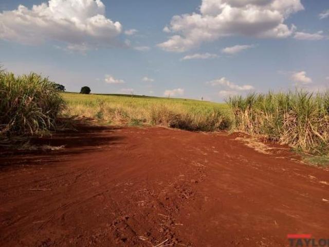Sítio e chácara venda em Região Imediata de São Joaquim da Barra-Orlândia, Região Metropolitana de Ribeirão Preto