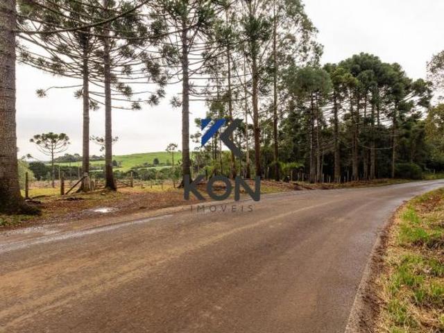 Sítio e chácara venda em Região Geográfica Imediata de Guarapuava, Guarapuava