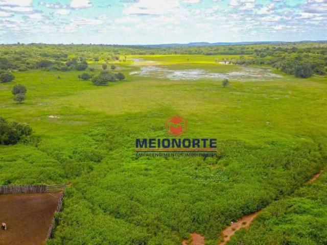 Fazenda venda em Morro Cabeça no Tempo, Região Nordeste
