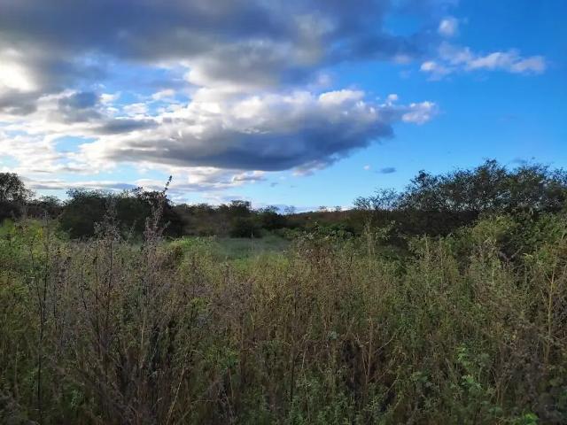 Fazenda venda em Morro do Chapéu, Região Nordeste
