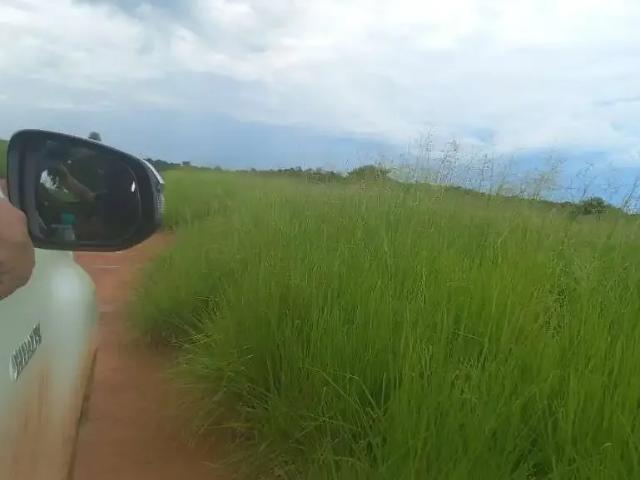 Fazenda venda em Região Geográfica Imediata de Porangatu, Mundo Novo