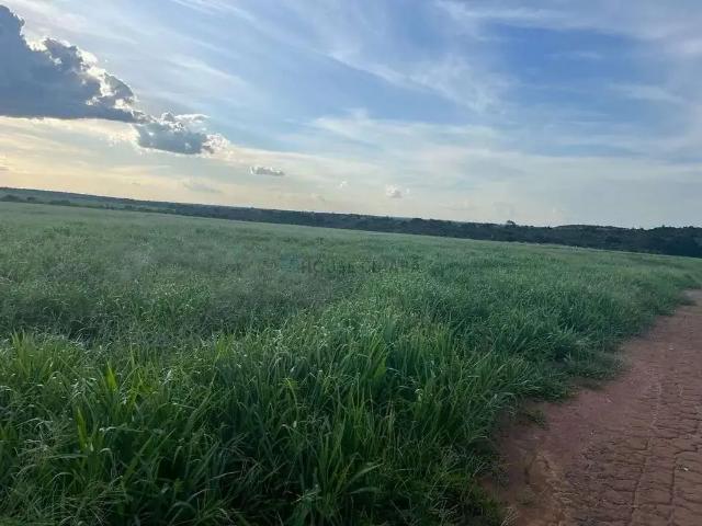 Fazenda venda em Região Geográfica Imediata de Porangatu, Mundo Novo