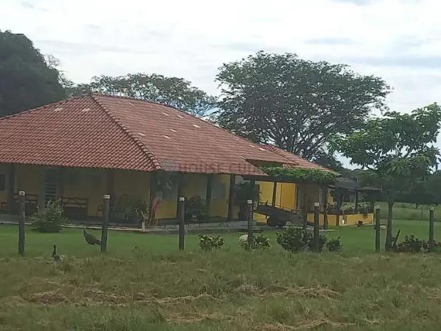 Fazenda venda em Região Geográfica Imediata de Porangatu, Mundo Novo