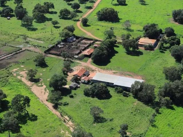 Fazenda venda em Região Geográfica Imediata de Porangatu, Mundo Novo
