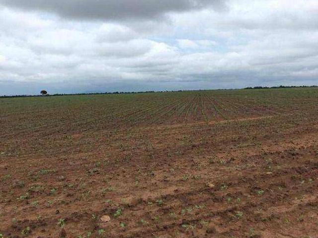 Fazenda venda em Mundo Novo, Região Geográfica Intermediária de Porangatu-Uruaçu