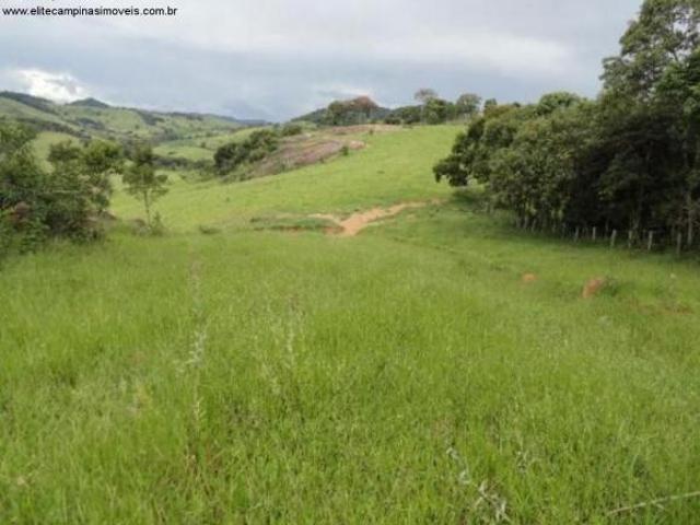 Sítio e chácara venda em Região Geográfica Imediata de Pouso Alegre, Munhoz