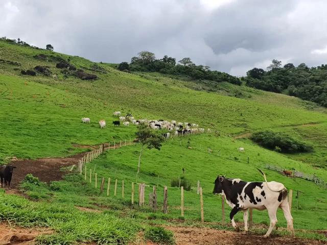 Fazenda venda em Região Geográfica Imediata de Pouso Alegre, Munhoz