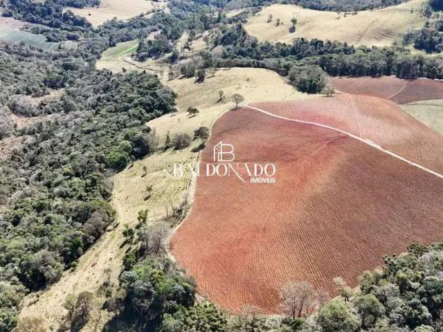 Fazenda venda em Região Geográfica Imediata de Pouso Alegre, Munhoz