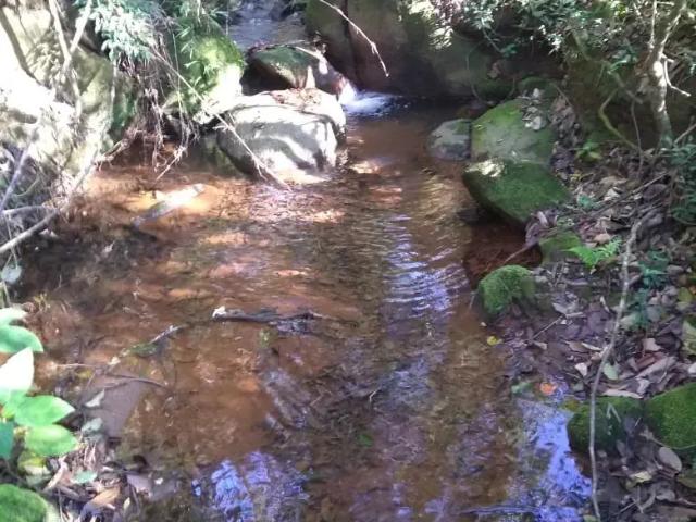 Fazenda venda em Região Geográfica Imediata de Pouso Alegre, Munhoz