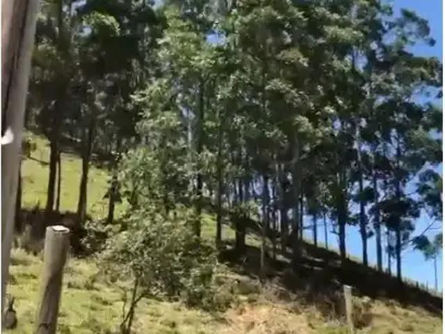 Fazenda venda em Muniz Freire, Região Sudeste