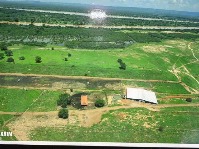 Fazenda venda em Muquém de São Francisco, Região Nordeste