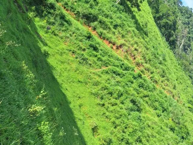Fazenda venda em Região Geográfica Imediata de Cachoeiro de Itapemirim, Muqui