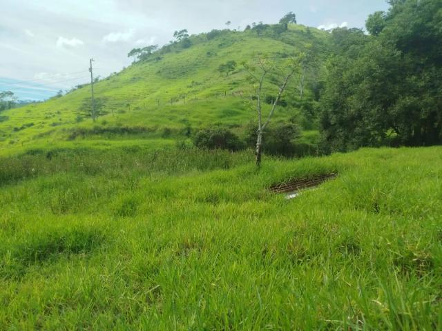 Fazenda venda em Região Geográfica Imediata de Cachoeiro de Itapemirim, Muqui