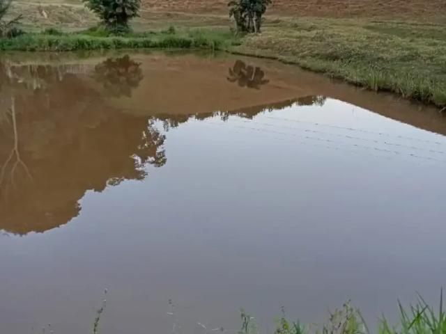 Fazenda venda em Região Geográfica Imediata de Cachoeiro de Itapemirim, Muqui