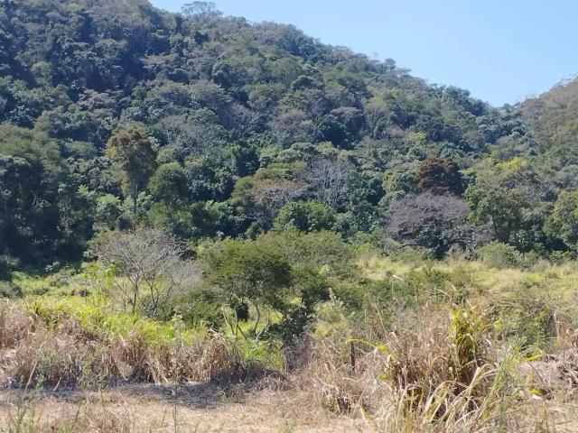 Fazenda venda em Região Geográfica Imediata de Cachoeiro de Itapemirim, Muqui