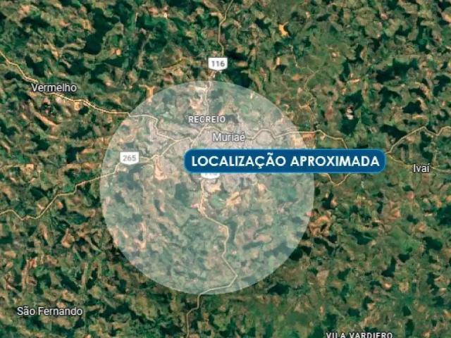 Fazenda venda em Região Geográfica Imediata de Muriaé, Muriaé