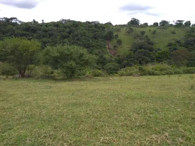 Fazenda venda em Região Geográfica Imediata de Curitiba, Região Metropolitana de Curitiba