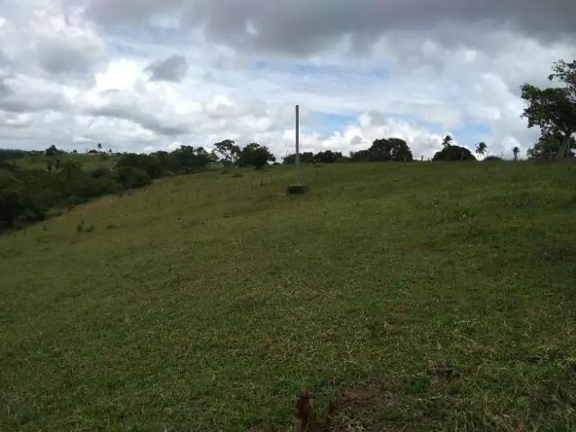 Fazenda venda em Região Geográfica Imediata de Curitiba, Região Metropolitana de Curitiba
