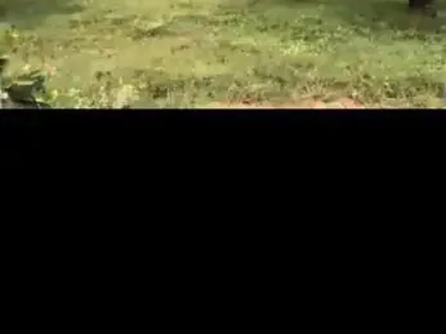 Fazenda venda em Região Geográfica Imediata de Porangatu, Mutunópolis