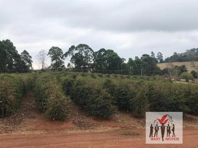 Fazenda venda em Centro, Muzambinho