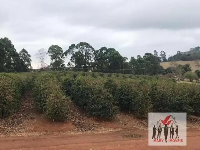 Fazenda venda em Região Geográfica Imediata de Guaxupé, Muzambinho