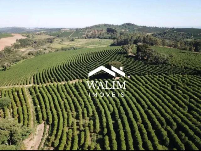 Fazenda venda em Região Geográfica Imediata de Guaxupé, Muzambinho