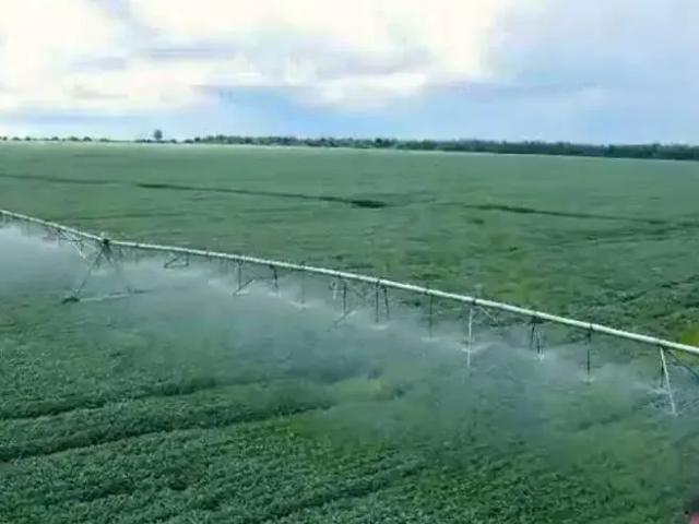 Fazenda venda em Região Imediata de Presidente Prudente, Nantes