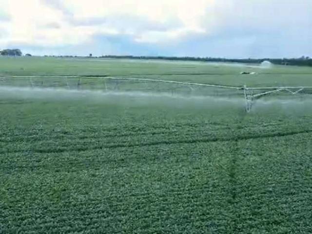 Fazenda venda em Nantes, Região Geográfica Intermediária de Presidente Prudente