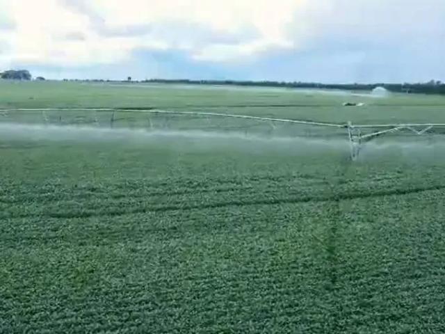 Fazenda venda em Região Imediata de Presidente Prudente, Nantes