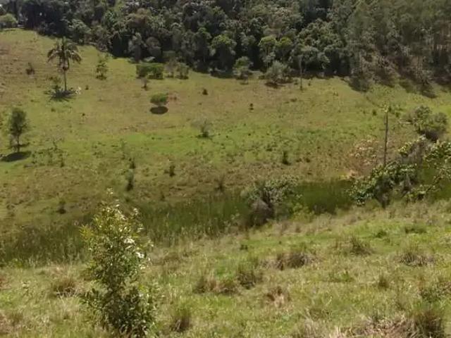 Fazenda venda em Região Imediata de Taubaté-Pindamonhangaba, Região Metropolitana do Vale do Paraíba e Litoral Norte