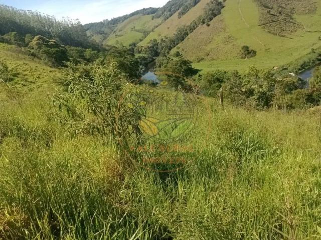 Fazenda venda em Região Imediata de Taubaté-Pindamonhangaba, Região Metropolitana do Vale do Paraíba e Litoral Norte