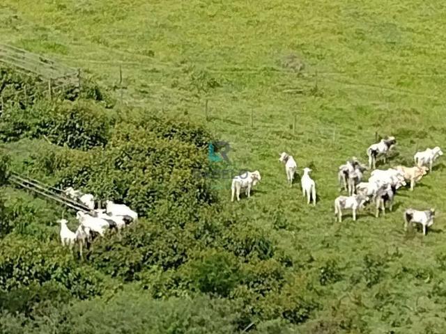 Fazenda venda em Região Imediata de Taubaté-Pindamonhangaba, Região Metropolitana do Vale do Paraíba e Litoral Norte