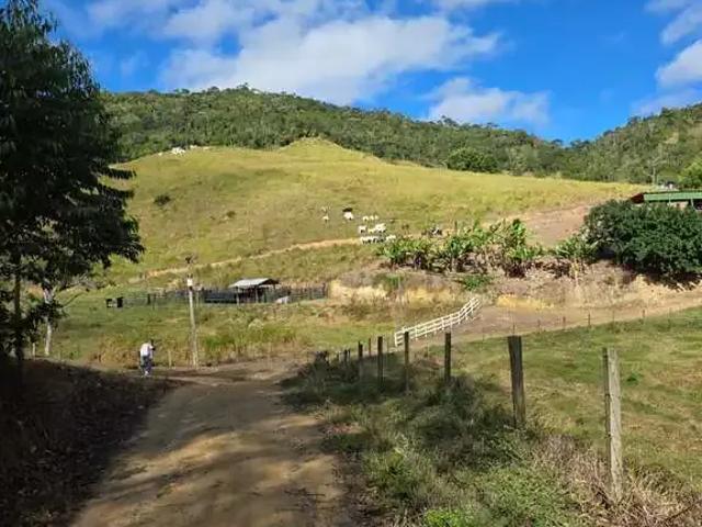 Fazenda venda em Região Imediata de Taubaté-Pindamonhangaba, Região Metropolitana do Vale do Paraíba e Litoral Norte