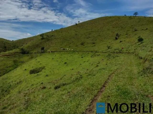 Fazenda venda em Natividade da Serra, Região Geográfica Intermediária de São José dos Campos