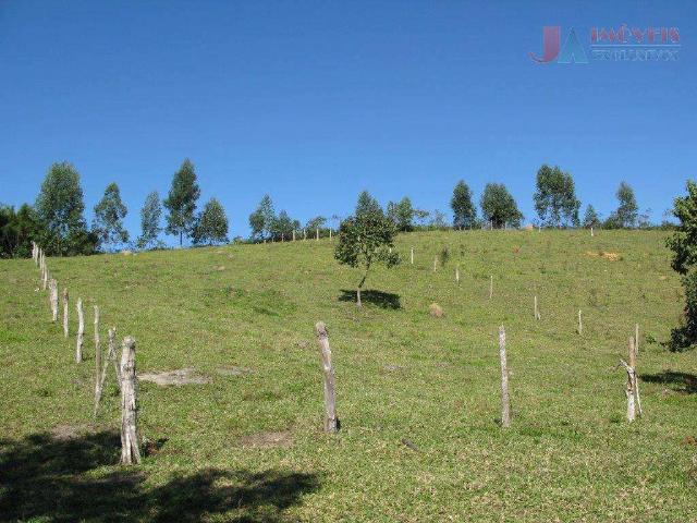 Fazenda venda em Natividade da Serra