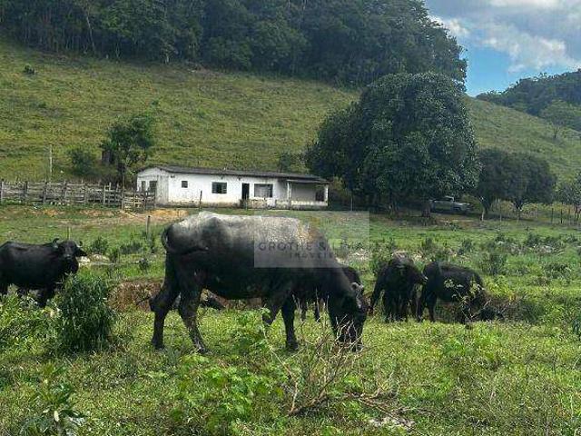 Fazenda venda em Natividade da Serra