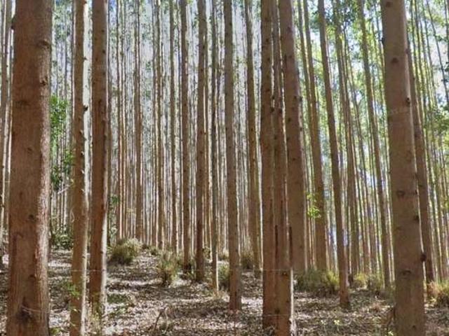 Fazenda venda em Região Geográfica Imediata de Itaperuna, Natividade