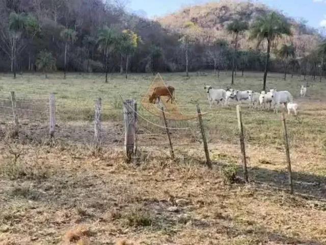 Fazenda venda em Região Geográfica Imediata de Porto Nacional, Natividade