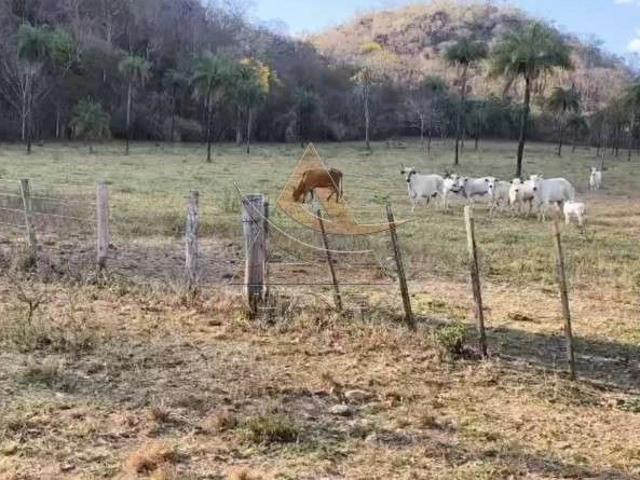 Fazenda venda em Natividade, Região Geográfica Intermediária de Palmas