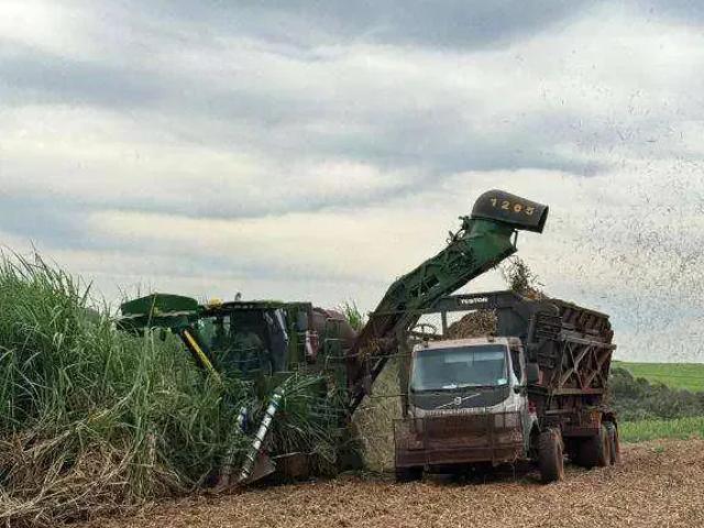 Fazenda venda em Região Geográfica Imediata de Naviraí - Mundo Novo, Naviraí