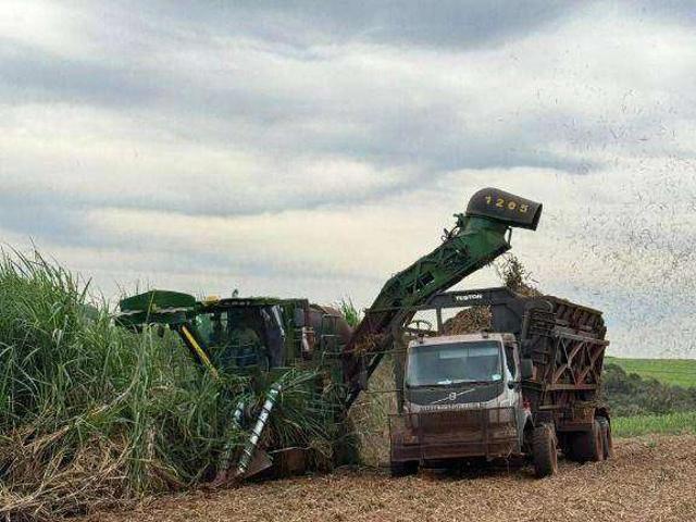 Fazenda venda em Naviraí