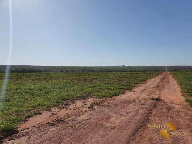 Fazenda venda em Região Geográfica Imediata de Naviraí - Mundo Novo, Naviraí