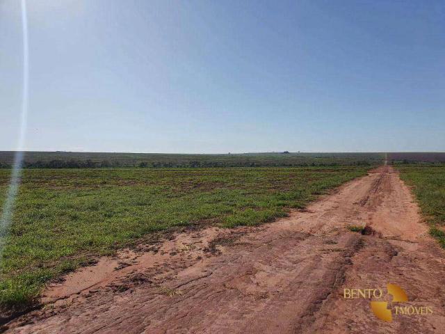 Fazenda venda em Naviraí